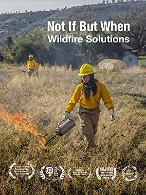 Documentaries sustainability Not If, But When by Radu Sava