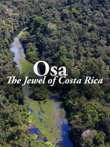 Documentaries sustainability OSA by Austin Andrews