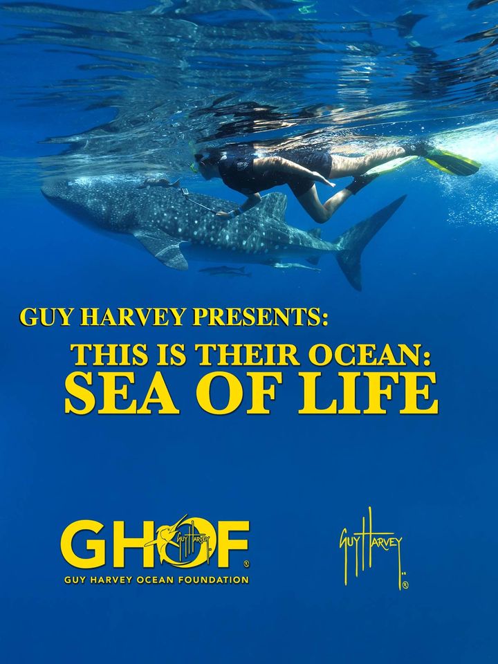 Documentaries sustainability Guy Harvey Presents by George C. Schellenger