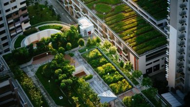 The benefits of urban farming & how they build community