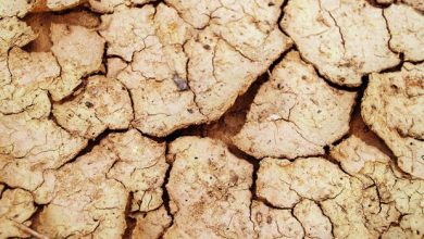 How to reduce water waste in your business