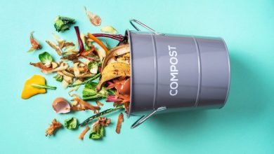 Urban composting: the 101 guide for those who live in a city