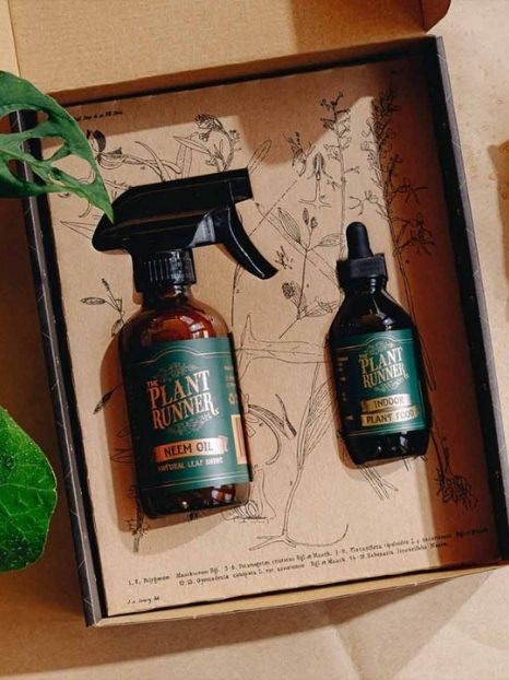 12 One-Stop Sustainable Online Marketplaces for Ethical Shoppers BIOME