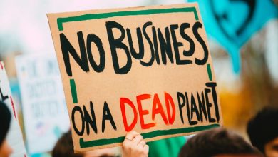 How businesses can reduce their carbon footprint