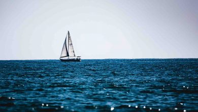 7 Tips for first time eco-friendly sea travellers
