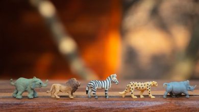 Top 5 Vintage Toys Thrift Stores to Find Second-Hand Kids Goods Online