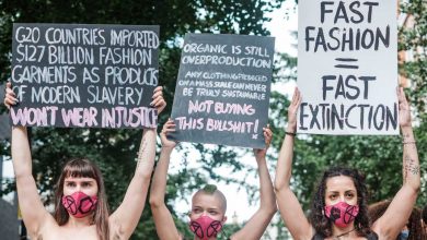 Using persuasion to make the world more sustainable