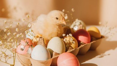 5 Simple Ways to Have a More Sustainable Easter