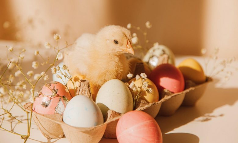 5 Simple Ways to Have a More Sustainable Easter