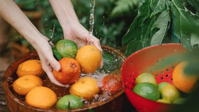 Organic September: How to get the most out of your garden