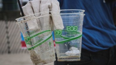 What Are Bioplastics & Why You Should Avoid Them