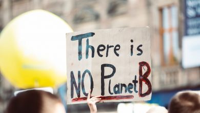 What You Need to Know About Environmental Activism