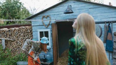 How to choose the best shed style for your backyard (sustainably)!