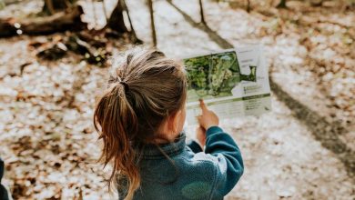 How to Be an Eco-Conscious Student in 2023?