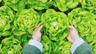 How to reduce maintenance times for sustainable food manufacturing