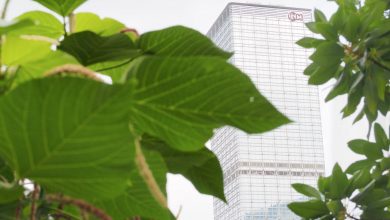 6 Key Areas to Focus On as an International Green Business