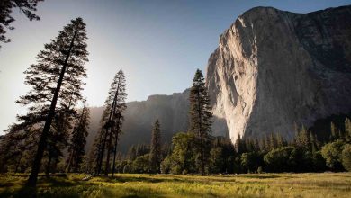 The Importance of Environmental Education in 2023