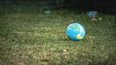 Which University Should You Choose to Become an Ecologist