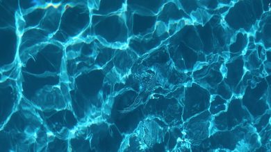5 Fun Ways to Incorporate Swim Workouts into Your Student Athlete Routine
