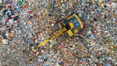 Dumpster Rentals: A Sustainable Solution for Waste Disposal