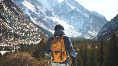 9 Eco-Friendly Outdoor Activities to Contribute to a Better World