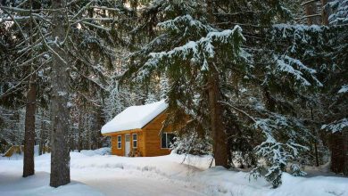 The Essential Guide to Eco-friendly Home Insulation