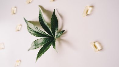 10 Misconceptions about CBD you should know