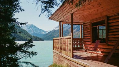 3 Ways To Make Your Home Efficiently Eco-Friendly