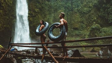 5 Wildlife Inspired Adventures for Eco-Conscious Travellers