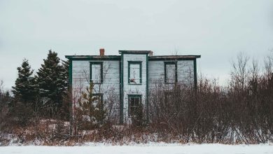 How To Flipping a House Eco-Consciously