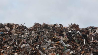 Rise Of Refurbished Electronics: A Sustainable Technology Choice
