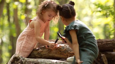 Small Secrets For Teaching Your Kids To Be More Eco-Conscious