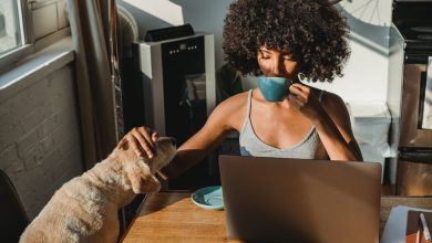 How To Balance Being a College Student & a Pet Owner (Sustainably)