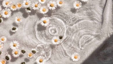 Flower Power: Best Botanical Ingredients in Skincare