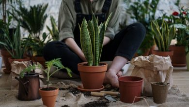 Top 7 Green DIY Gardening Ideas (Easy + Affordable)
