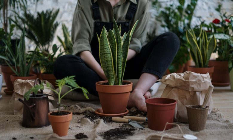 Top 7 Green DIY Gardening Ideas (Easy + Affordable)