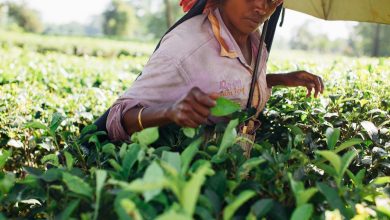 Key & Sustainable Strategies for Ethical Supply Chain Resilience