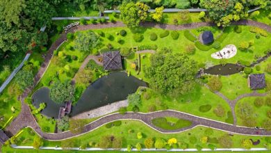 How Can You Enhance Your Home's Curb Appeal with Landscape Design?