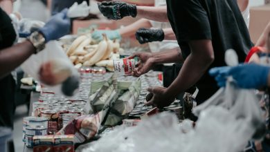 Revolutionizing Food Banks: The Power of Software Solutions