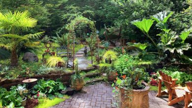 5 Ideas to Create a Relaxing Eco-Oasis in Your Backyard
