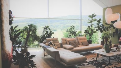 The Ultimate Guide to Selecting Energy-Efficient Windows for Your Home