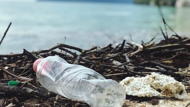 Raising Awareness About Plastic Pollution as You Travel