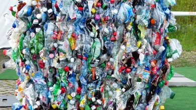 Recycled Plastics: The Green Revolution Transforming Consumer Preferences