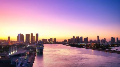 Discovering Miami: Your Ultimate Eco-Friendly Getaway