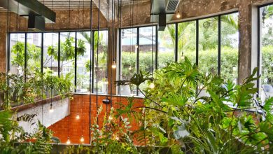 Bringing Nature Indoors: The Rise of Biophilic & Sustainable Interior Design