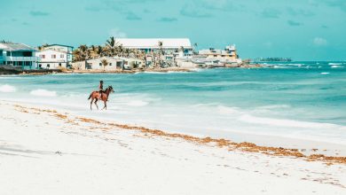 Grenada and Dominica: Top Caribbean Choices for Dual Citizenship