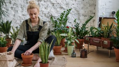 Gifts For The Gardener In Your Life