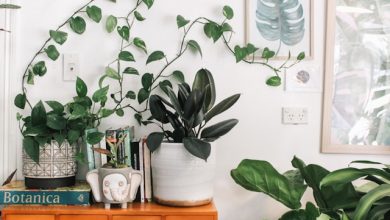 What Are the Best Practices for Sustainable Home Renovation?