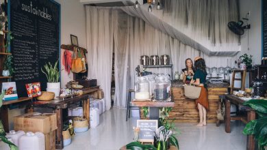 Eco-Friendly Strategies for Small Sustainable Businesses Looking to Scale