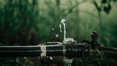 Why Water Management Services Are Important For Sustainable SMEs